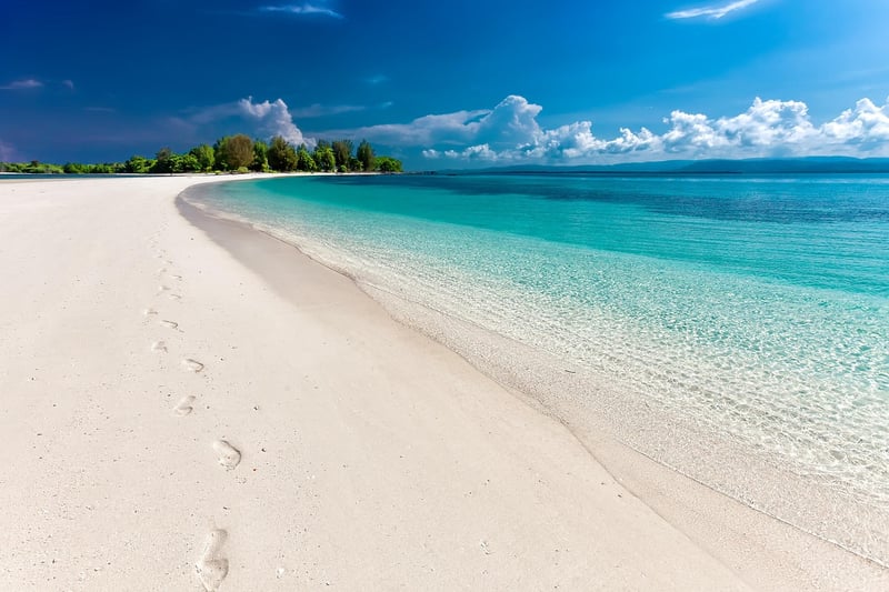 Beach clean-up